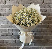 Букет цветов из:  Ромашки #REPLACE_PRED# Сармаково