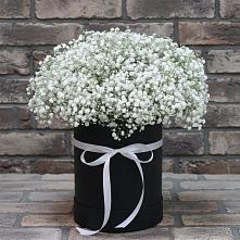 Цветочная композиция из Гипсофила в шляпной коробке в Сармаково