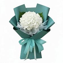 Букет цветов из:  Гортензия в Сармаково